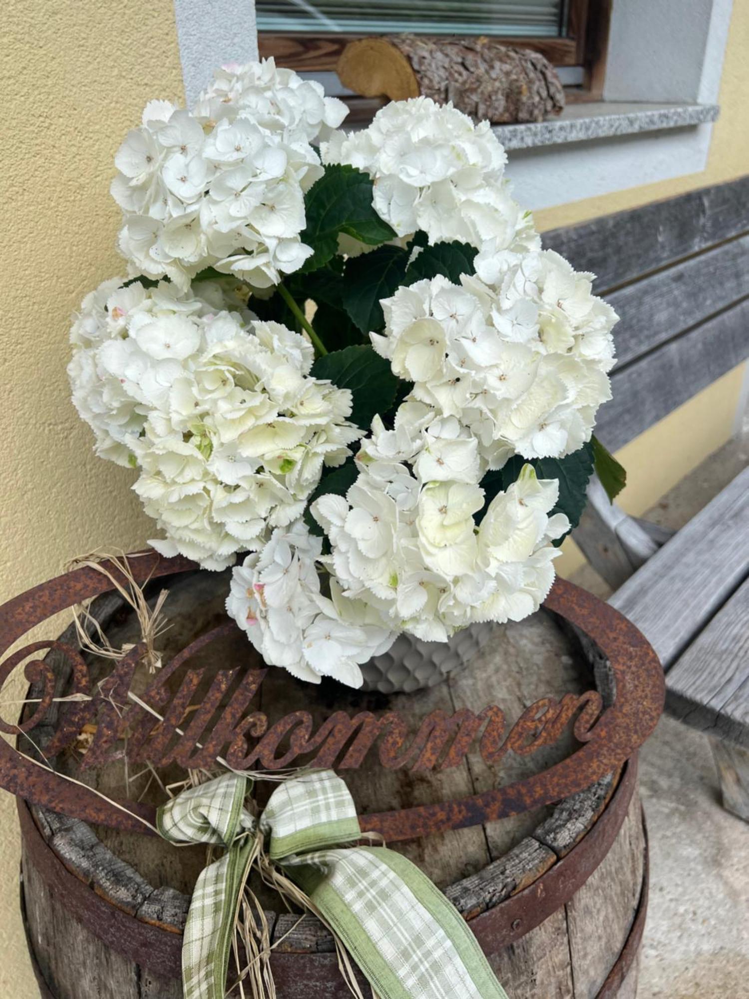Ferienwohnung Steinbock Terrasse, Gartensauna, Garten, Grillplatz 斯达姆 外观 照片